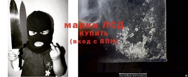 прущие крисы Медвежьегорск