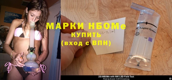 молекула духа Мегион