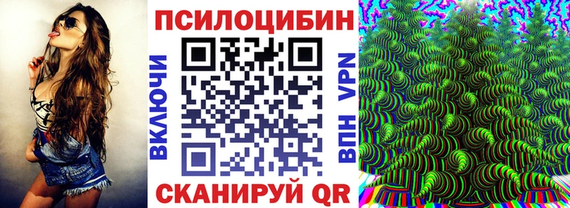 Купить закладки Братск Псилоцибиновые грибы Magic Shrooms